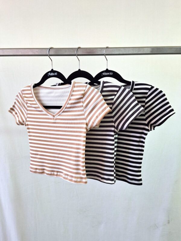 REMERA CUELLO V MORLEY RAYADO MANGA CORTA 2026 - Imagen 5